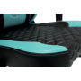 Геймерское кресло GT Racer X-2604-4D Black/Mint