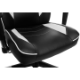 Геймерское кресло GT Racer X-2564 Black/White