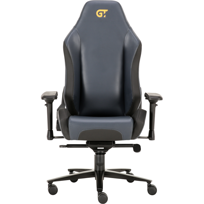 Геймерское кресло GT Racer X-2610 Ash/Black