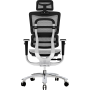 Офисное эргономичное кресло GT Racer X-801A Light Gray (W17-1)
